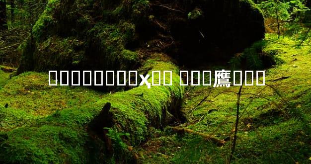 ������˭�ҳ�Ǯ ���鷹˭��